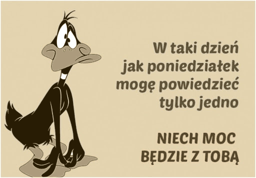 Smutny kaczor w poniedziałek daje nam moc